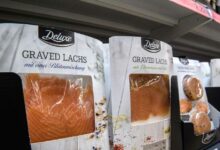 Dringender Lachs Rückruf